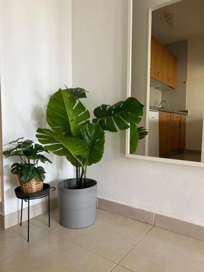 Corralejo Garden House *